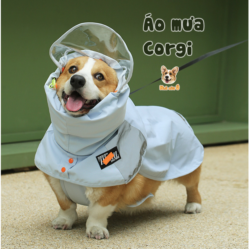 Áo mưa cho Corgi Nhà của Ú - Áo Mưa 2 lớp màu xanh chống nước cỡ vừa cho chó to, Samoyed, Golden