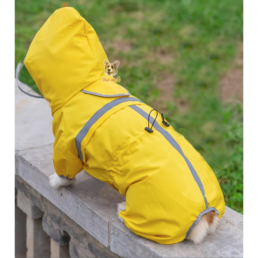 Áo mưa cho Corgi Nhà của Ú - Áo Mưa 2 lớp chống nước cỡ vừa cho chó to, Samoyed, Golden màu vàng
