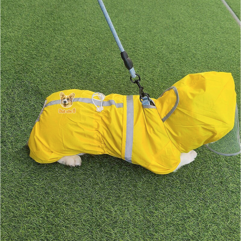 Áo mưa cho Corgi Nhà của Ú - Áo Mưa 2 lớp chống nước cỡ vừa cho chó to, Samoyed, Golden màu vàng