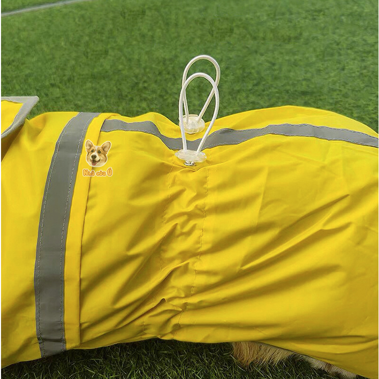 Áo mưa cho Corgi Nhà của Ú - Áo Mưa 2 lớp chống nước cỡ vừa cho chó to, Samoyed, Golden màu vàng