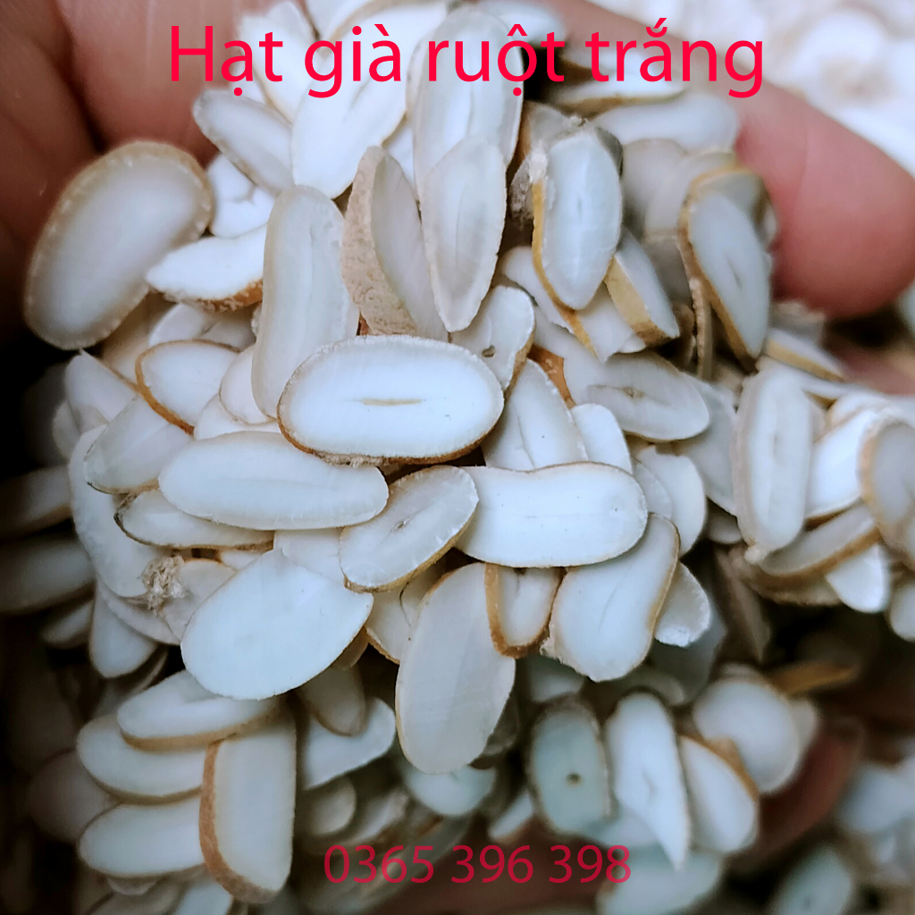 Hạt sành hạt sang dạ dày  hạt già ruột trắng 5 gói 750 lát cắt  sẵn ,dùng 5 tháng tặng 2 gói