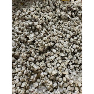 Ruột hến siêu ngon vĩ 500gr (giao tphcm)