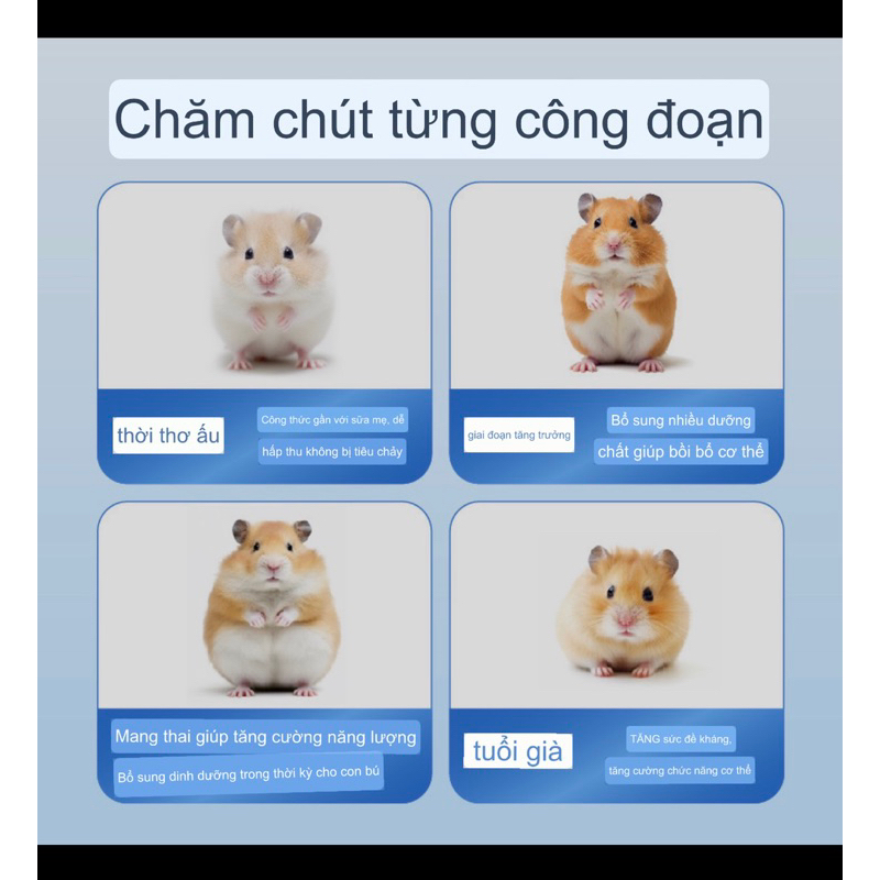 [ 1 GÓI ] Bột sữa dê Bucatstate dinh dưỡng,giàu canxi,đạm và vitamin cho chuột hamster,thỏ,bọ,nhím,sóc,..