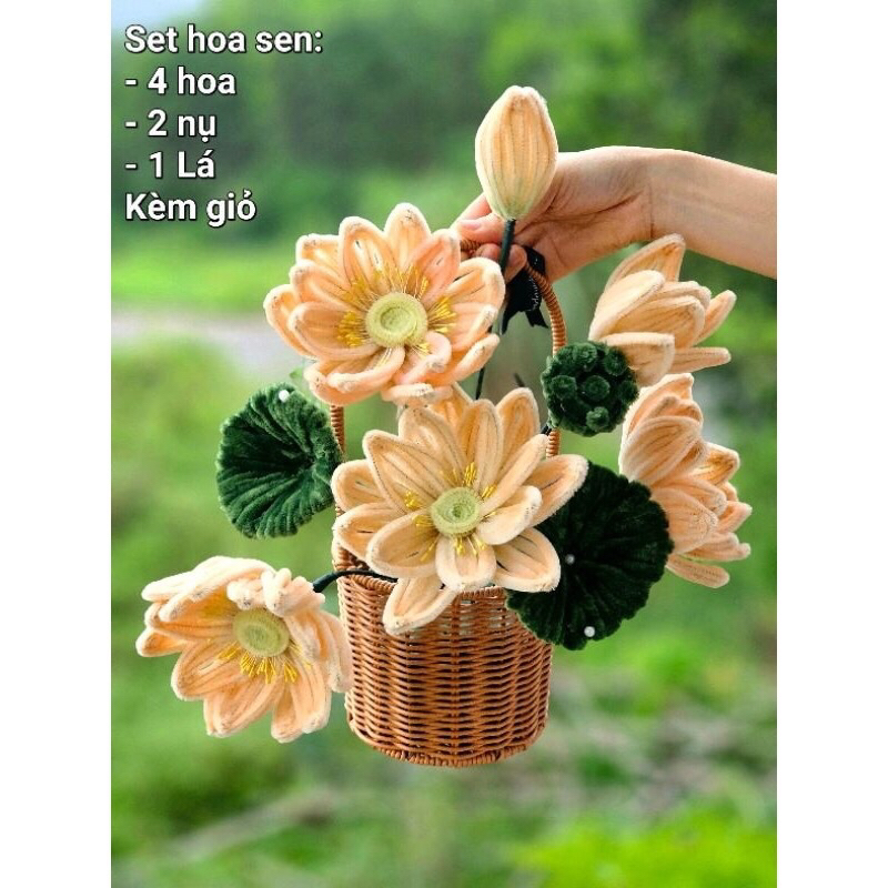 Giỏ hoa sen siêu xinh dùng để tặng bạn bè , người thân🌷