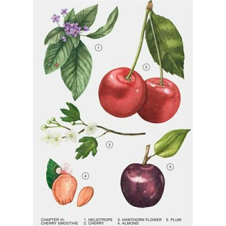 [Chính hãng] NƯỚC HOA ZARA CHERRY SMOOTHIE (chai lớn 80ml, chai nhỏ 30ml)