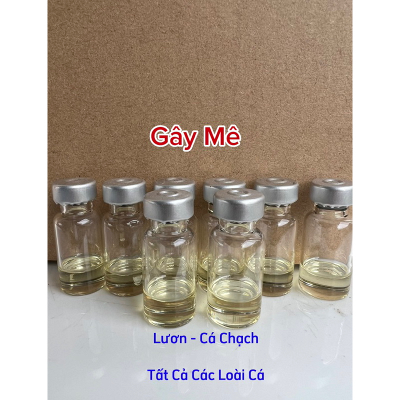 Dung Dịch Gây Mê Chạch, Lươn, Cá Các Loại