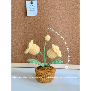 Mỉm | chậu hoa linh lan, hoa chuông len handmade