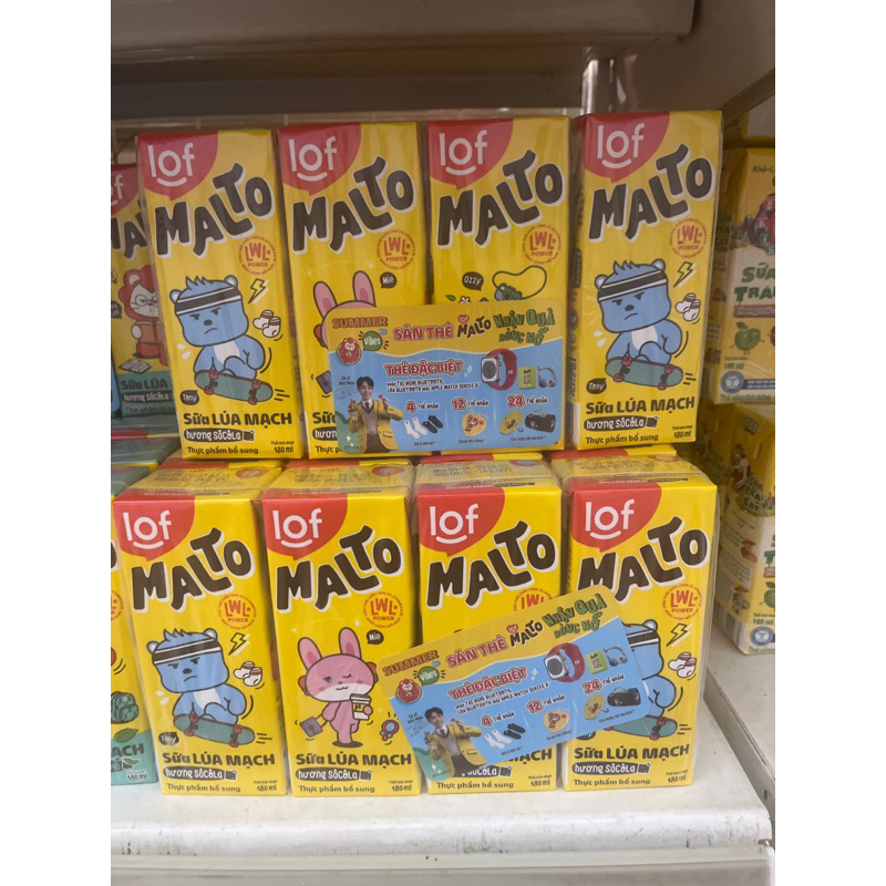1 Dây sữa Malto hương cacao lúa mạch 180ml