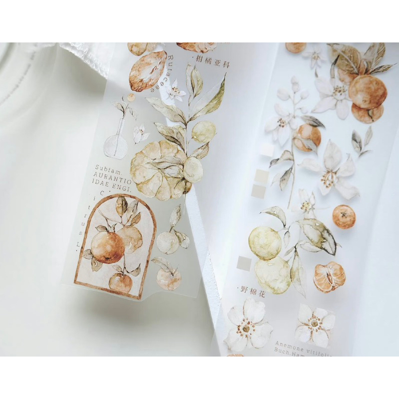 𝓑𝓾𝓵𝓵𝓮𝓽𝓳𝓸𝓾𝓻𝓷𝓪𝓵𝟏𝟏𝟓 ✿ Băng dính hãng Freckles Tea  mẫu "𝐓𝐚𝐧𝐠𝐞𝐫𝐢𝐧𝐞" hoa quả quýt màu cam xinh xắn trang trí sổ