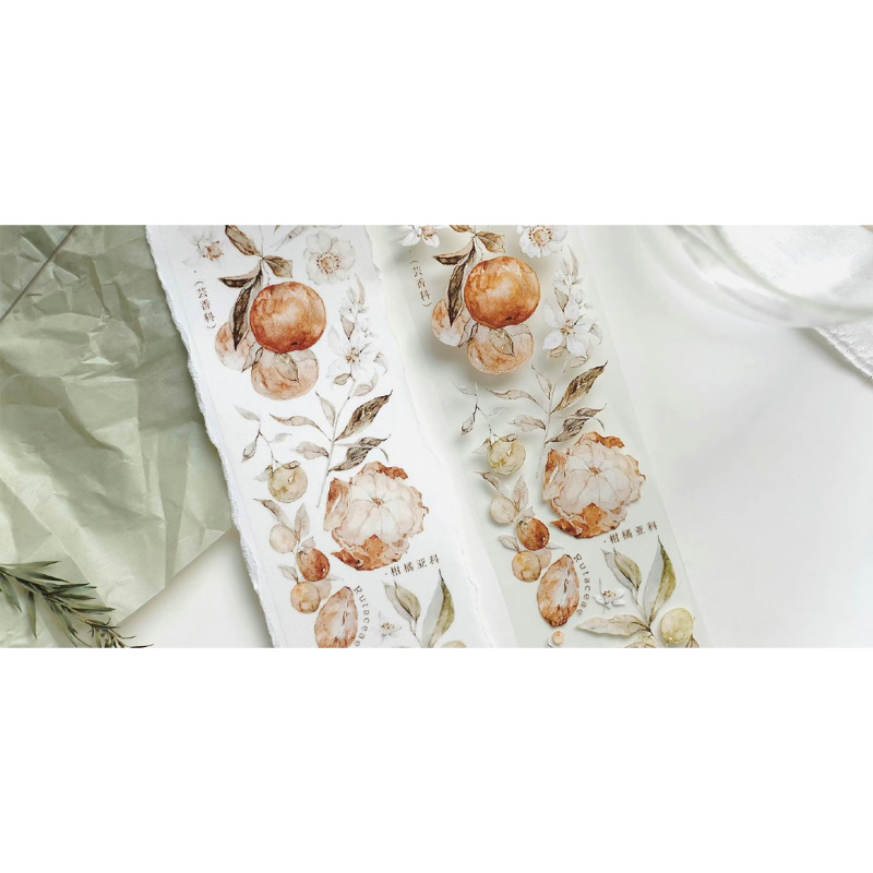 𝓑𝓾𝓵𝓵𝓮𝓽𝓳𝓸𝓾𝓻𝓷𝓪𝓵𝟏𝟏𝟓 ✿ Băng dính hãng Freckles Tea  mẫu "𝐓𝐚𝐧𝐠𝐞𝐫𝐢𝐧𝐞" hoa quả quýt màu cam xinh xắn trang trí sổ