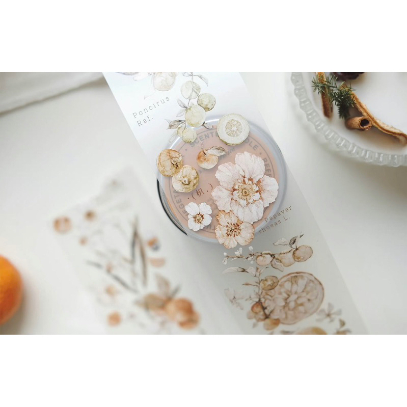 𝓑𝓾𝓵𝓵𝓮𝓽𝓳𝓸𝓾𝓻𝓷𝓪𝓵𝟏𝟏𝟓 ✿ Băng dính hãng Freckles Tea  mẫu "𝐓𝐚𝐧𝐠𝐞𝐫𝐢𝐧𝐞" hoa quả quýt màu cam xinh xắn trang trí sổ