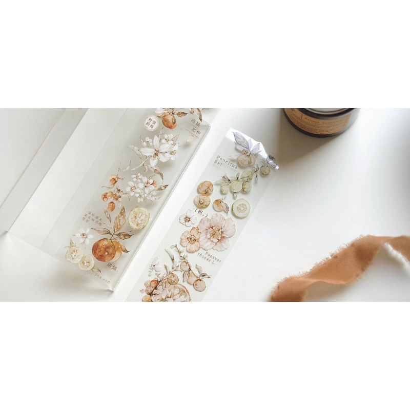 𝓑𝓾𝓵𝓵𝓮𝓽𝓳𝓸𝓾𝓻𝓷𝓪𝓵𝟏𝟏𝟓 ✿ Băng dính hãng Freckles Tea  mẫu "𝐓𝐚𝐧𝐠𝐞𝐫𝐢𝐧𝐞" hoa quả quýt màu cam xinh xắn trang trí sổ