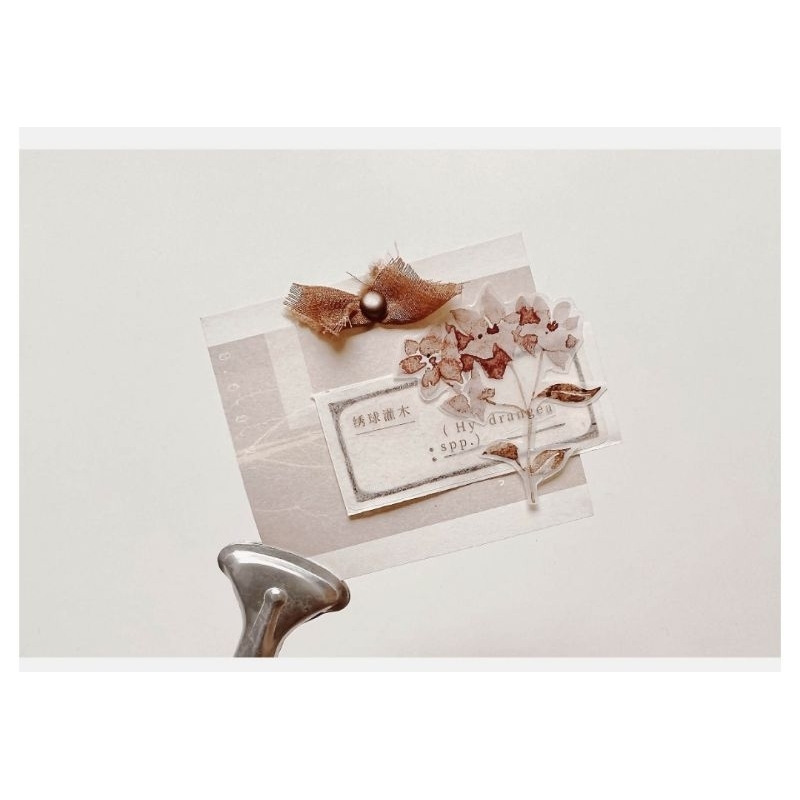 𝓚𝓻𝓲𝓼𝓷𝓪.𝓻𝓸𝓸𝓶 ♡ Freckles tea vol.3- Chu kì 100cm cuộn băng dán PET tape hoa "𝑨𝒖𝒕𝒖𝒎𝒏 𝒍𝒆𝒂𝒗𝒆𝒔"