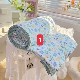Chăn đũi Soy Bean Hàn Quốc, Hàng Loại 1 nhập khẩu.