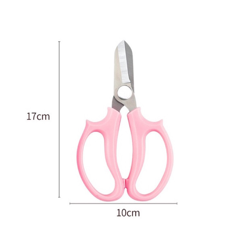 Kéo Cắt Tỉa Cành Hoa Chuyên Dụng Hàng Loại 1