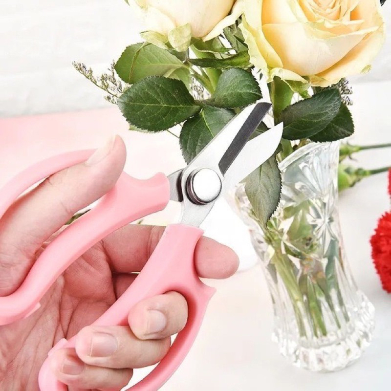 Kéo Cắt Tỉa Cành Hoa Chuyên Dụng Hàng Loại 1