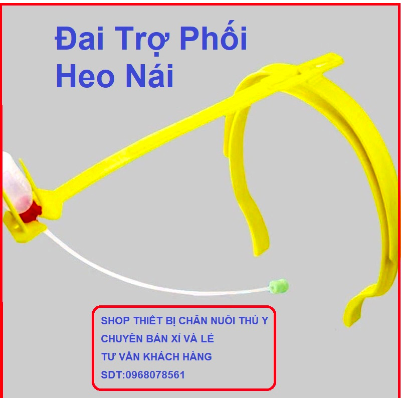 Đai Hỗ Trợ Phối Tinh Heo, Thanh Trợ Phối, Đai Kẹp Phối, Giá Đỡ Phối Tinh Cho Heo Nái