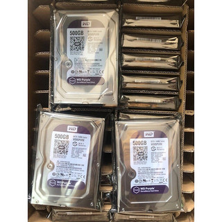 HDD 500GB WD tím chuyên camera