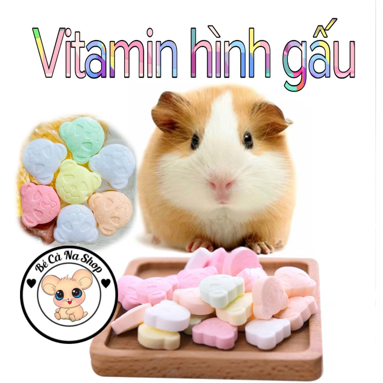 Vitamin trái cây hình gấu bổ sung dinh dưỡng (bé cà na) thức ăn cho hamster thỏ bọ sóc chinchiilla