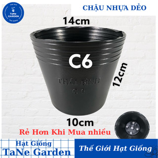 Chậu nhựa C6 đen dẻo trồng cây hoa