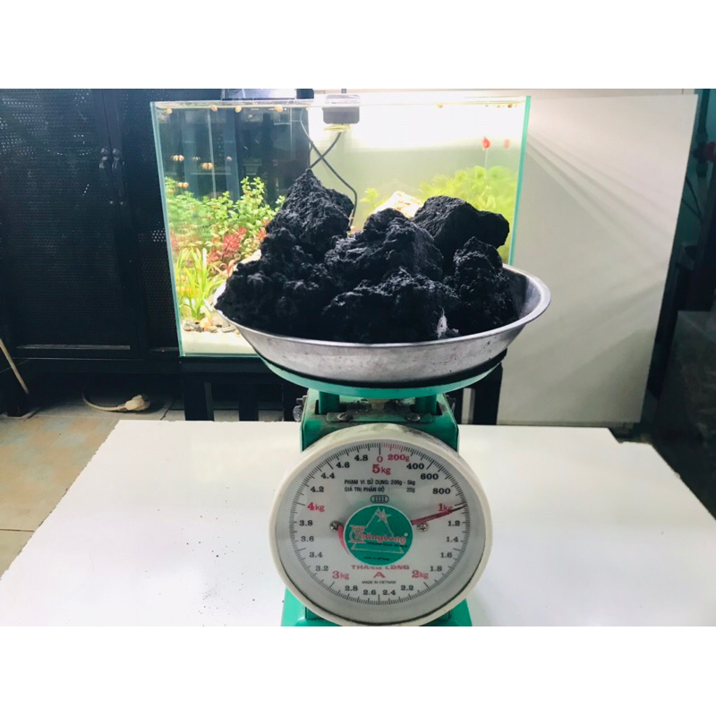 Đá đen gia lai dùng để trang trí bể cá bể thủy sinh bể terarium hàng lựa đẹp đã sử lý