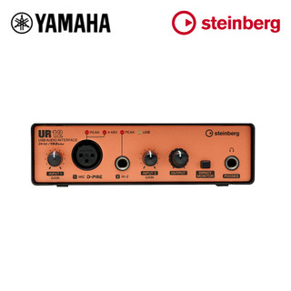 Steinberg USB Audio Interface UR12