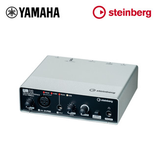 Steinberg usb audio interface ur12