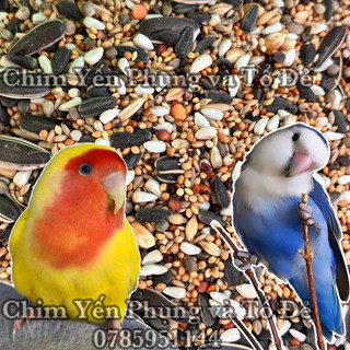 1kg thức ăn hoàn chỉnh cho Vẹt (Lovebird • Cockatiel • Monk...)