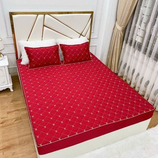 Sét Ga Gối Phi Lụa Trần Bông LV Hàng Nhập Khẩu