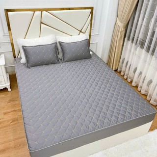 Sét ga gối phi lụa trần bông lv hàng nhập khẩu