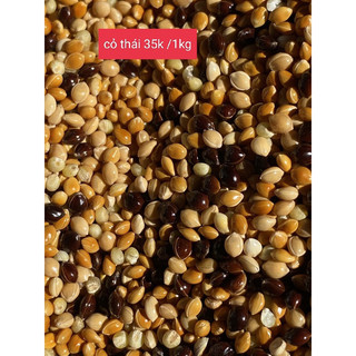 Cỏ thái cho chim cu gáy túi 1kg
