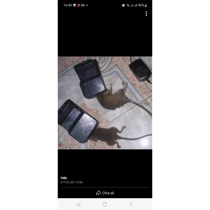 Bẫy chuột thông minh