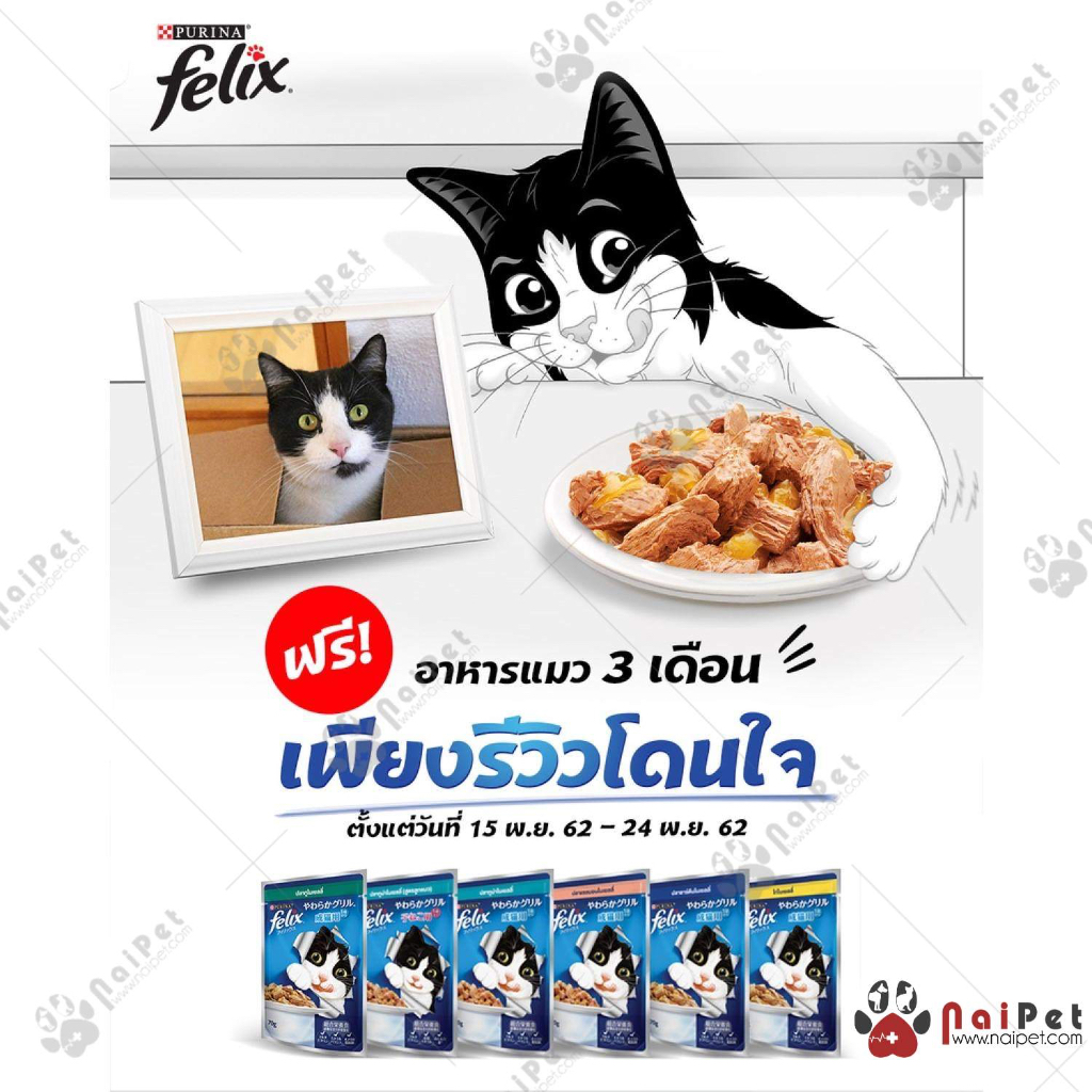 Thức Ăn Dinh Dưỡng Pate Cho Mèo Furina Felix 85g