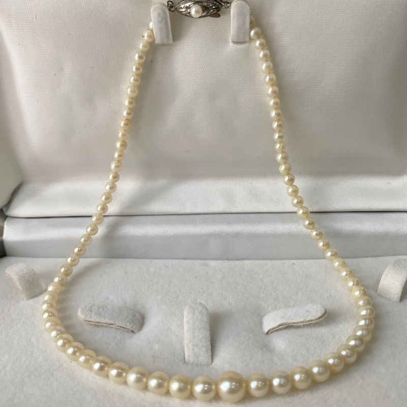 Chuỗi trai Akoya hàng si Nhật