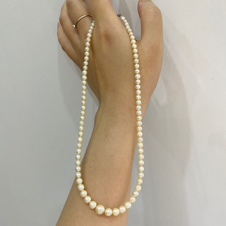 Chuỗi trai Akoya hàng si Nhật