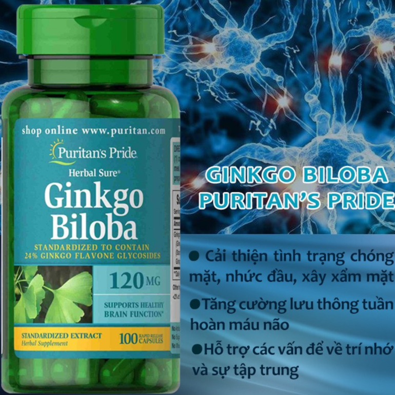 Viên Uống Hỗ Trợ Tuần Hoàn Não Bộ Puritans pride Ginkgo Biloba 120mg 100 Viên