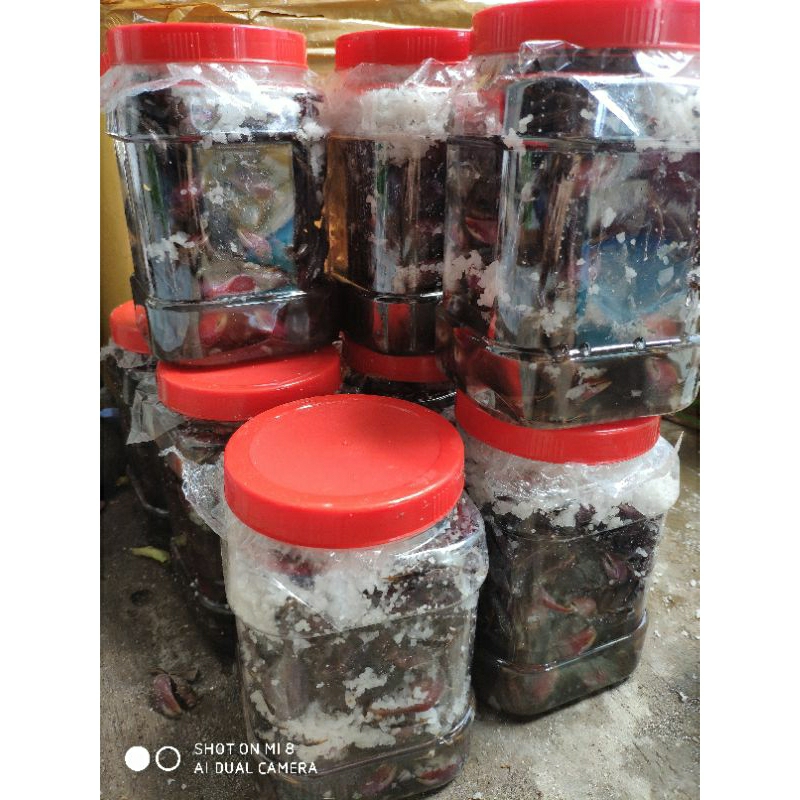 500gram Ba khía muối Cà Mau-mắm ba khía bao ăn chắc thịt