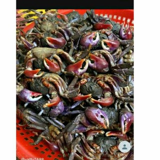 ❤️❤ 1KG Ba khía muối Cà Mau con vừa-gạch đầy nhiều thịt