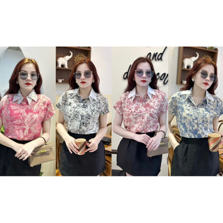 Cha0150 áo sơ mi hoạ tiết cổ trắng 2 lá
