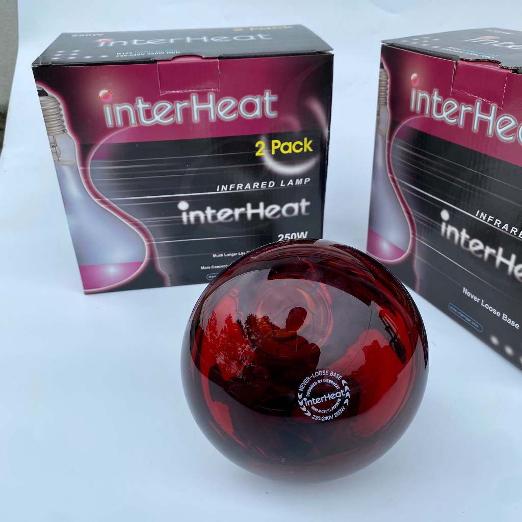 Bóng Úm Hồng Ngoại interHeat Hàng Cao Cấp, Bóng Úm Gà Heo