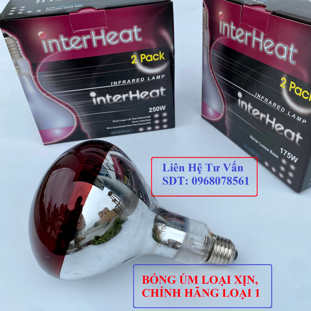 Bóng Úm Hồng Ngoại interHeat Hàng Cao Cấp, Bóng Úm Gà Heo