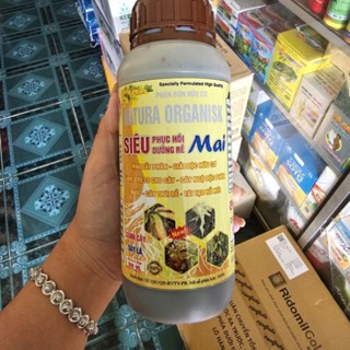 Siêu Phục Hồi Mai Dưỡng rễ mai