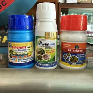 Bộ Ba Đốm Lá, Nắm Hồng ,Thán thứ, Sâu, Bọ Trĩ