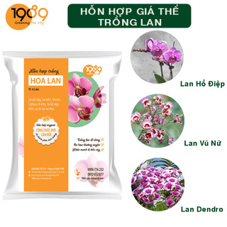 Hỗn Hợp Giá Thể Trồng Hoa Lan - Giá Thể Trồng Lan Hàng Đầu Thị Trường