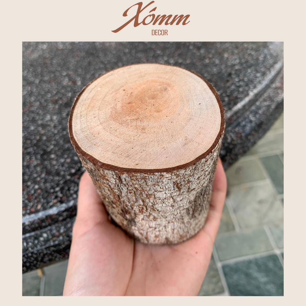Khúc gỗ tự nhiên trang trí decor đk 3-8cm, dài 5-10cm, miếng gỗ tròn, củi khô trang trí giáng sinh, góc học tập