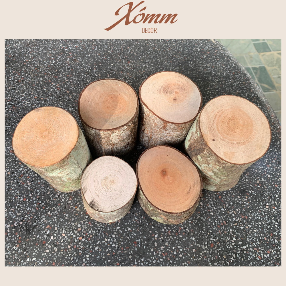 Khúc gỗ tự nhiên trang trí decor đk 3-8cm, dài 5-10cm, miếng gỗ tròn, củi khô trang trí giáng sinh, góc học tập