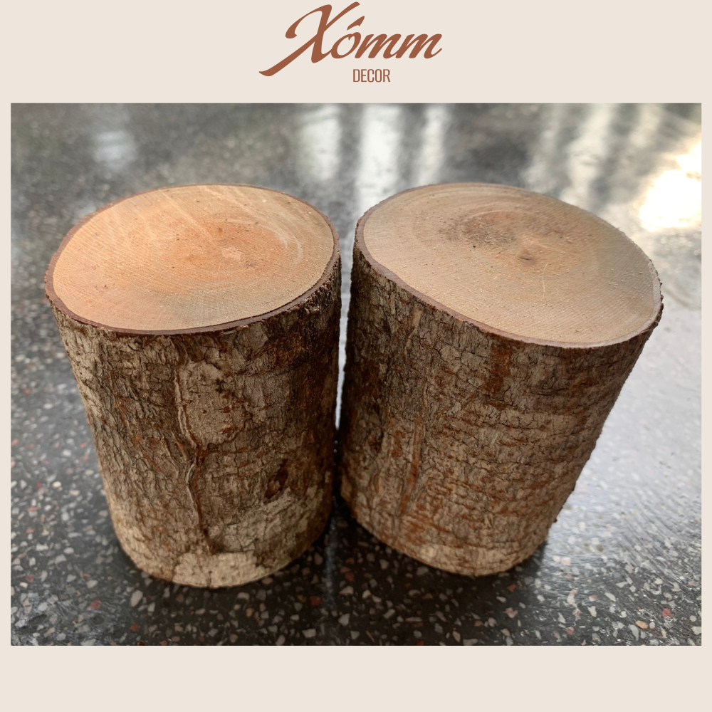 Khúc gỗ tự nhiên trang trí decor đk 3-8cm, dài 5-10cm, miếng gỗ tròn, củi khô trang trí giáng sinh, góc học tập