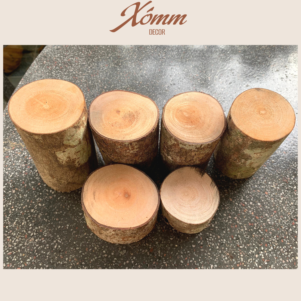 Khúc gỗ tự nhiên trang trí decor đk 3-8cm, dài 5-10cm, miếng gỗ tròn, củi khô trang trí giáng sinh, góc học tập