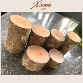 Khúc gỗ tự nhiên trang trí decor đk 3-8cm, dài 5-10cm, củi khô trang trí giáng sinh, góc học tập