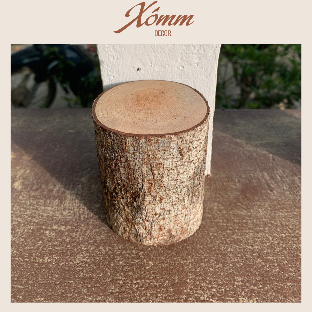 Khúc gỗ tự nhiên trang trí decor đk 3-8cm, dài 5-10cm, miếng gỗ tròn, củi khô trang trí giáng sinh, góc học tập